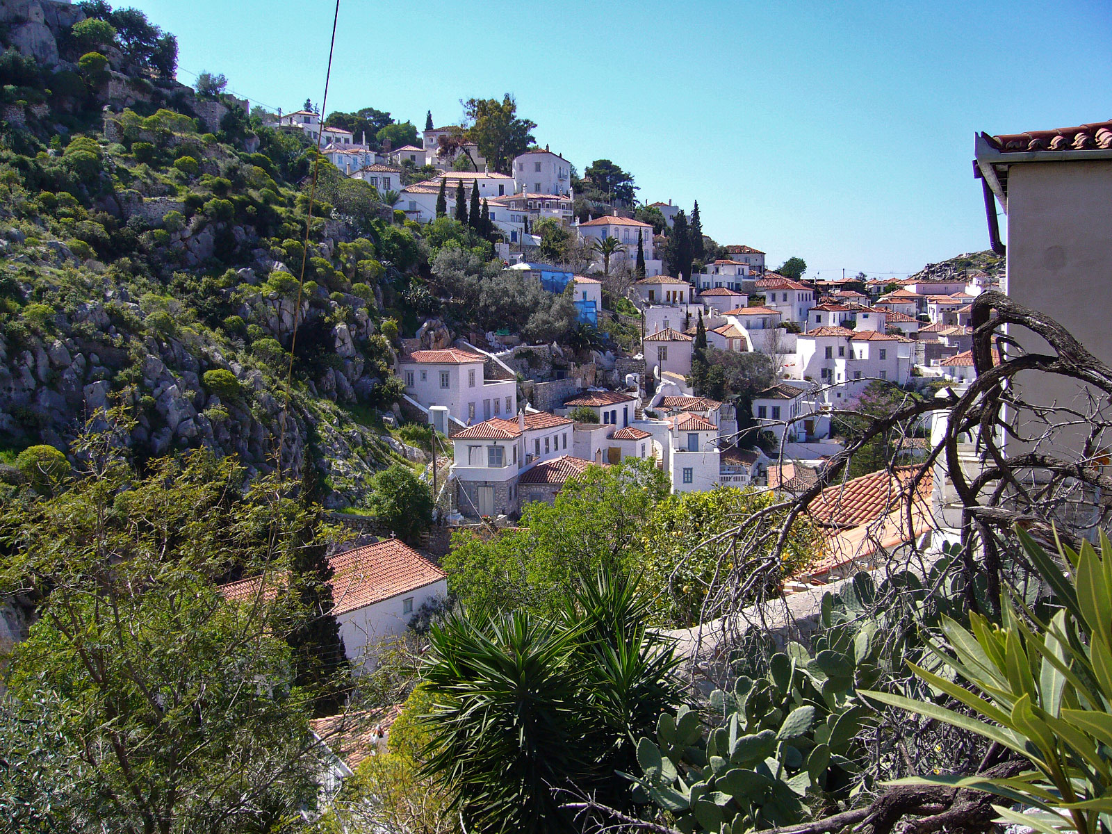 Hydra